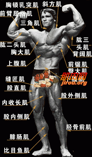 弡ֲͼ - yangmeng19840818 - յĲ