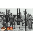 �������Ƽ�������ѵ��