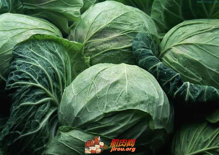 ��������ľ��Ĳ� - ������ - �������Ĳ���