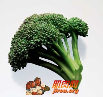 Ҭ˵ȸʵʳڶžҹ