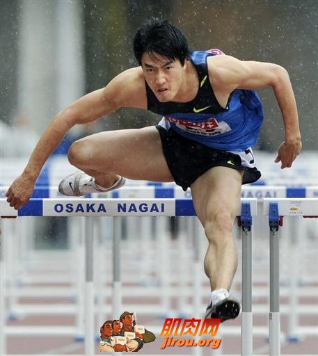 ������Ȳ�����