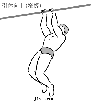 引体向上(窄握)