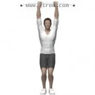 ������ϥ�Ͼ�