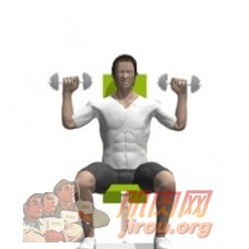 ���������ƾ٣�˫�ۣ�