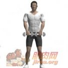 ����ֱ��