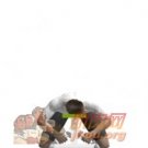 ���������ƽ��