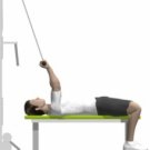 ƽ��������٣�˫�ۣ�