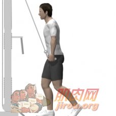 ��ʽ����