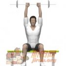 ���˸���������