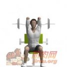 ���˸��������죨���Σ�