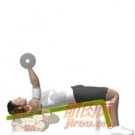 ��б����������