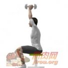 ���˾��������죨˫�ۣ�