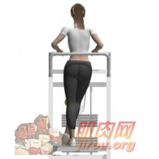 վ���Źؽ�����