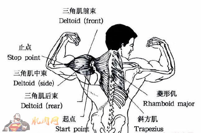 ���Ǽ�ǰ��������������