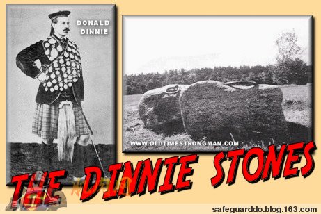 ͼƬ���£��ŵ����ʿ��ѵ������ - safeguarddo - ��ǧ���Ĳ���