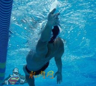 ����Ӿ�˶�����������