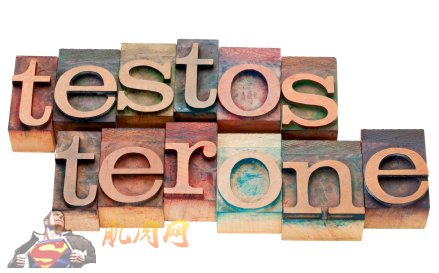 testosterone word in letterpress