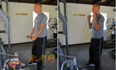 Cable Hammer Curls