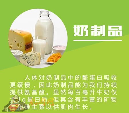 ���ֽ�����ʳʳ�ͼ�⣩