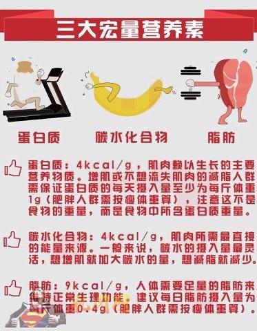 ��������Ӫ����