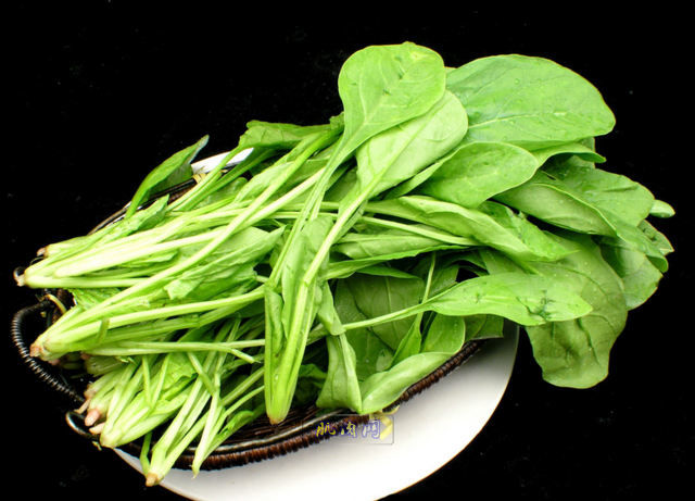 健身王道:靠器械不够 减肥还需合理饮食