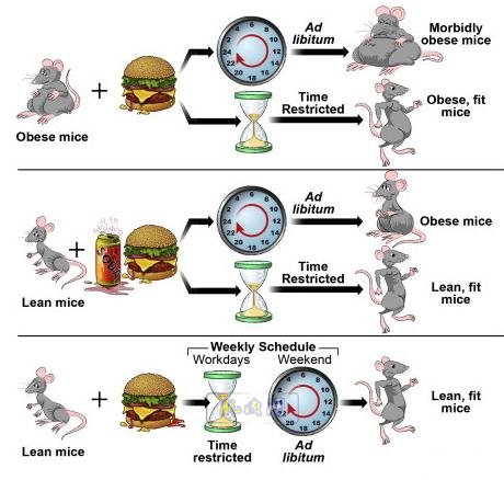 �����о��ܽ�