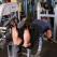 Lying Leg Curls