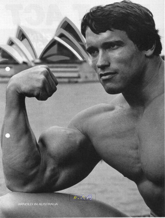 Young Arnold Schwarzenegger (100 pics)