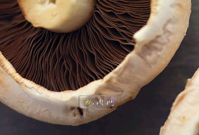 12����ǿ��������ʳ��