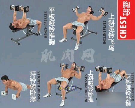 �ز��������ͼ��