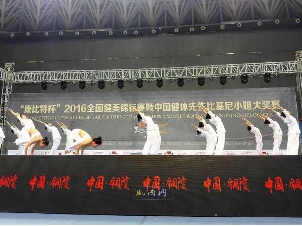 ȫ������������רҵ�Ȼ�϶�