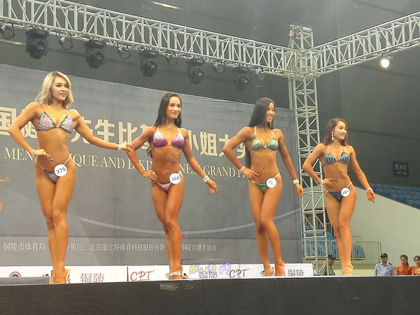 ȫ������������רҵ�Ȼ�϶�