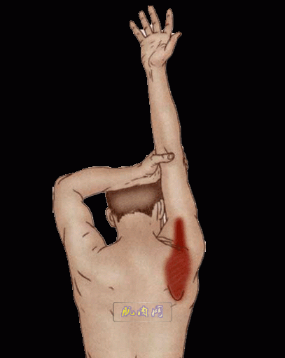 7.gif