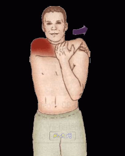 5.gif