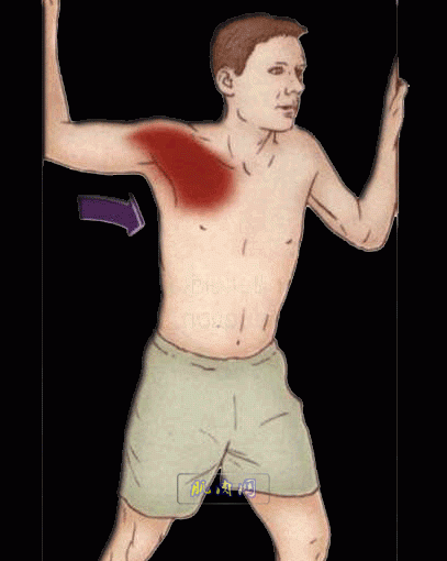 4.gif