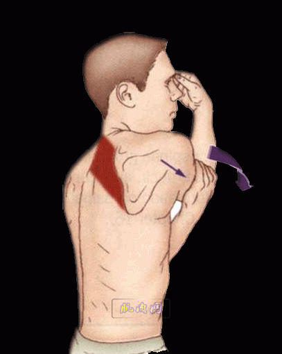 6.gif