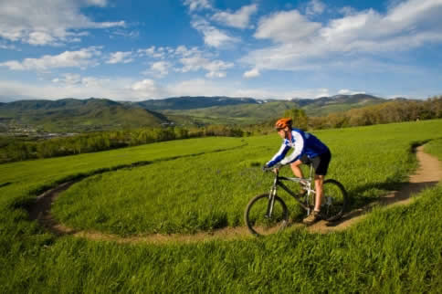 �����˶�