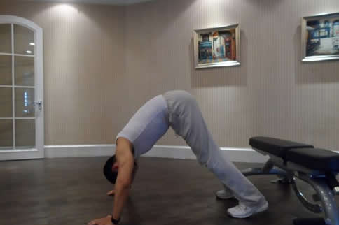 �۵�������