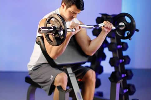 ���˸������