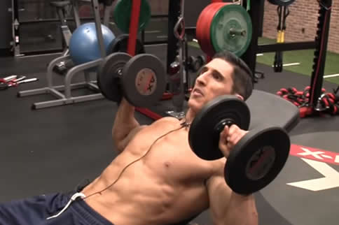 �����Ƽ�