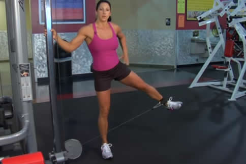 վ������չ