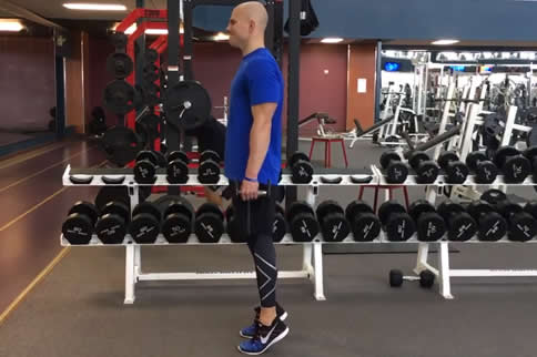 վ����������