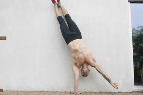 ���ֵ������Գ�