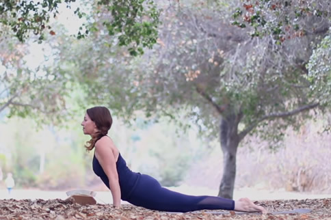 ��˹�����٤