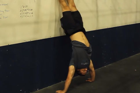 �������Գ�