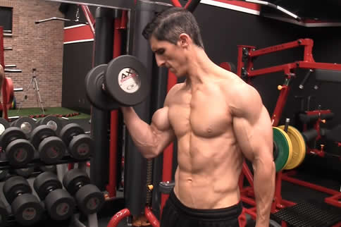 ����������Ҫÿ�������