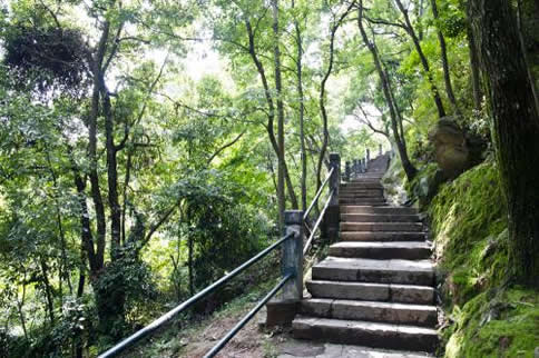 ��ɽ���������� 