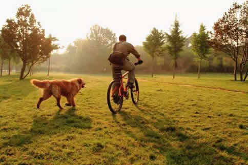 ��ѧ�ĳ��������ʱ�� ����ʲôʱ�������