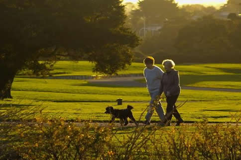 ����������˶���Ŀ ����˶�����ѡ��