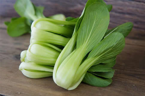 ��Ӫ��������ʳ������Щ